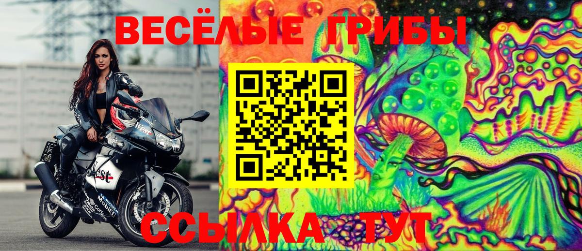 Новозыбков  Галлюциногенные грибы мицелий  Вход с VPN 