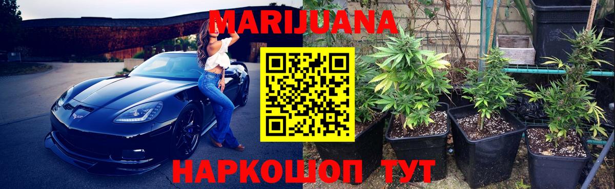 МАРИХУАНА планчик  Марихуана план  Вход с VPN  Бошки Шишки план  Новозыбков 